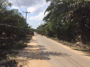 ฟื้นฟูถนนสาย 101 บ้านแหลมไฝ่ หมู่ที่ 1 ตำบลเคียนซา